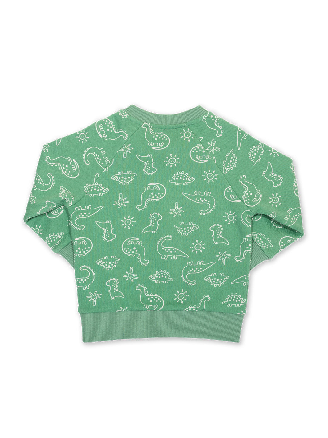 Kite Dino Earth Sweatshirt