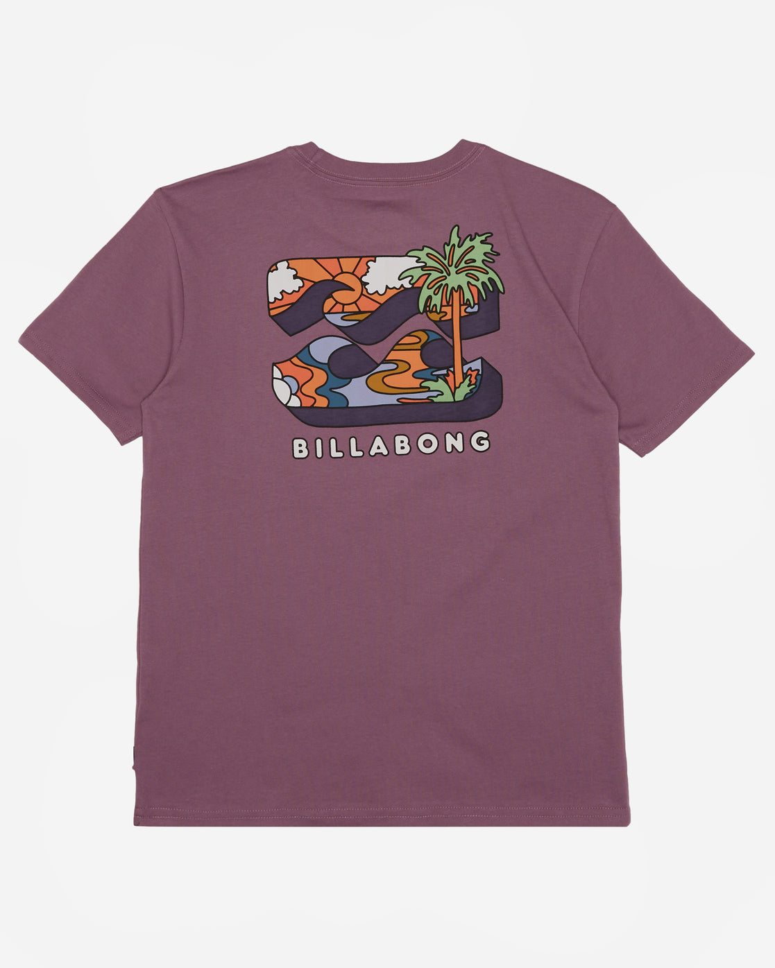 Billabong BBTV Boys T-Shirt in Plum