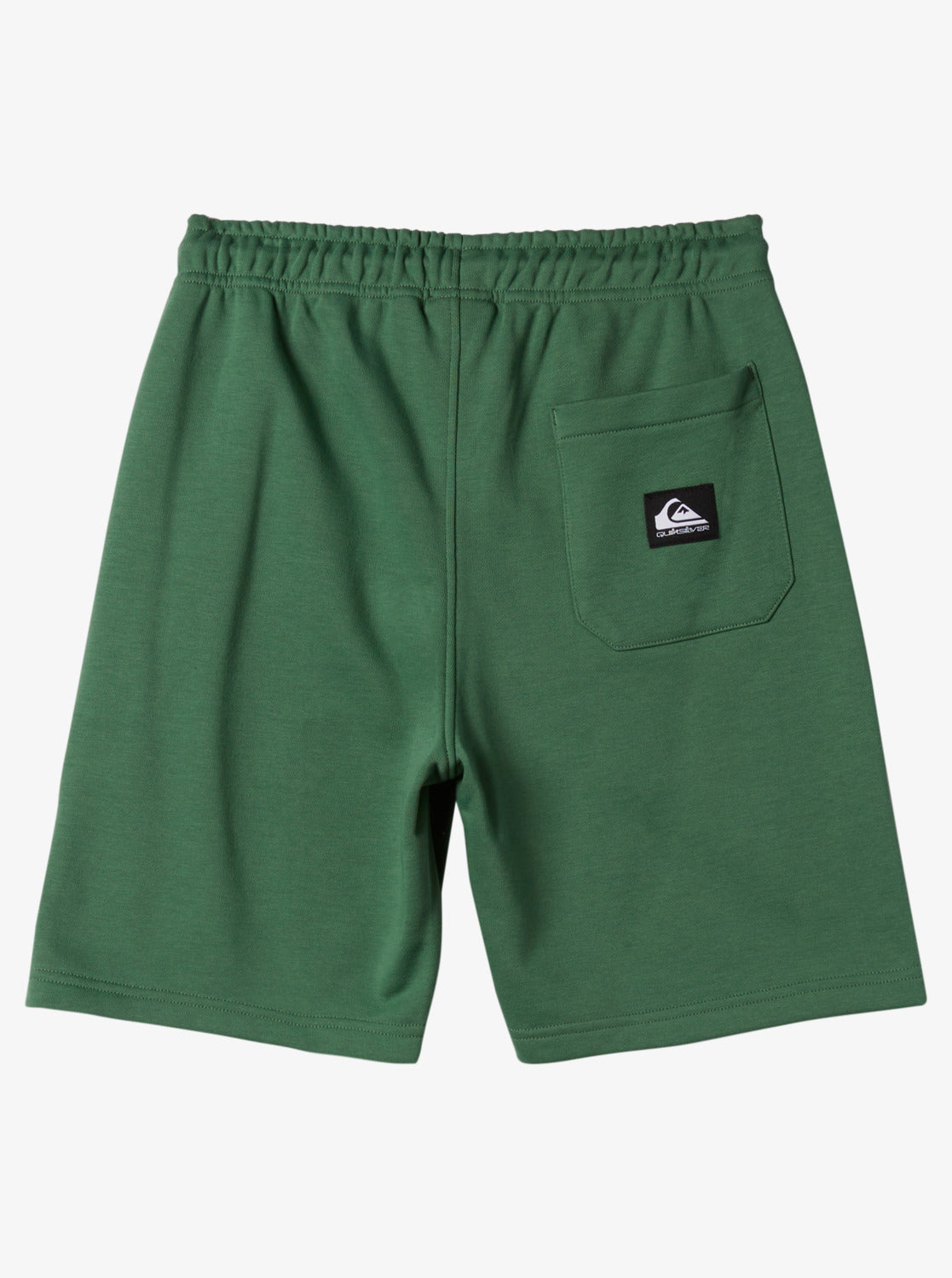 Quiksilver Easy Day Boys Sweat Shorts in Frosty Spruce