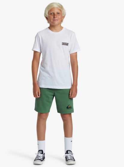 Quiksilver Easy Day Boys Sweat Shorts in Frosty Spruce