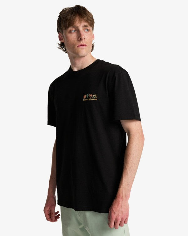 Billabong Segment T-Shirt in Black