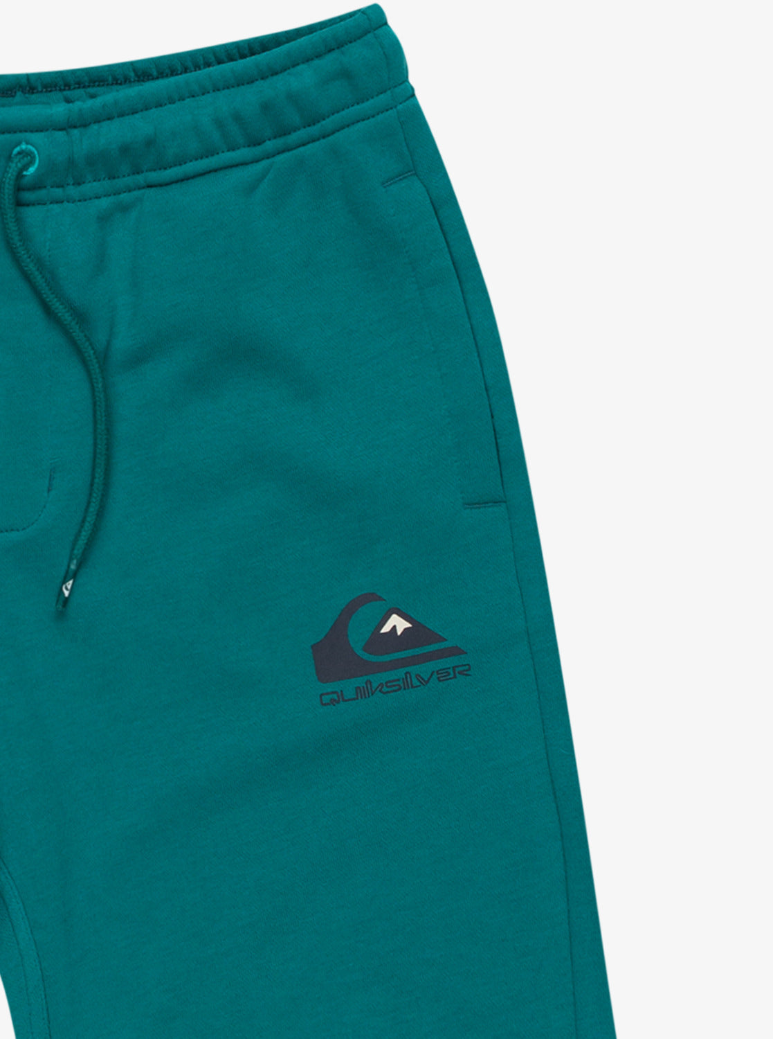 Quiksilver Easy Day Shorts in Teal Green