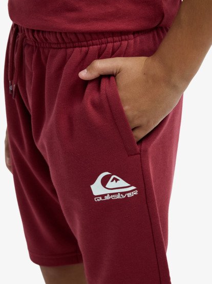 Quiksilver Easy Day Boys Sweat Shorts in Red