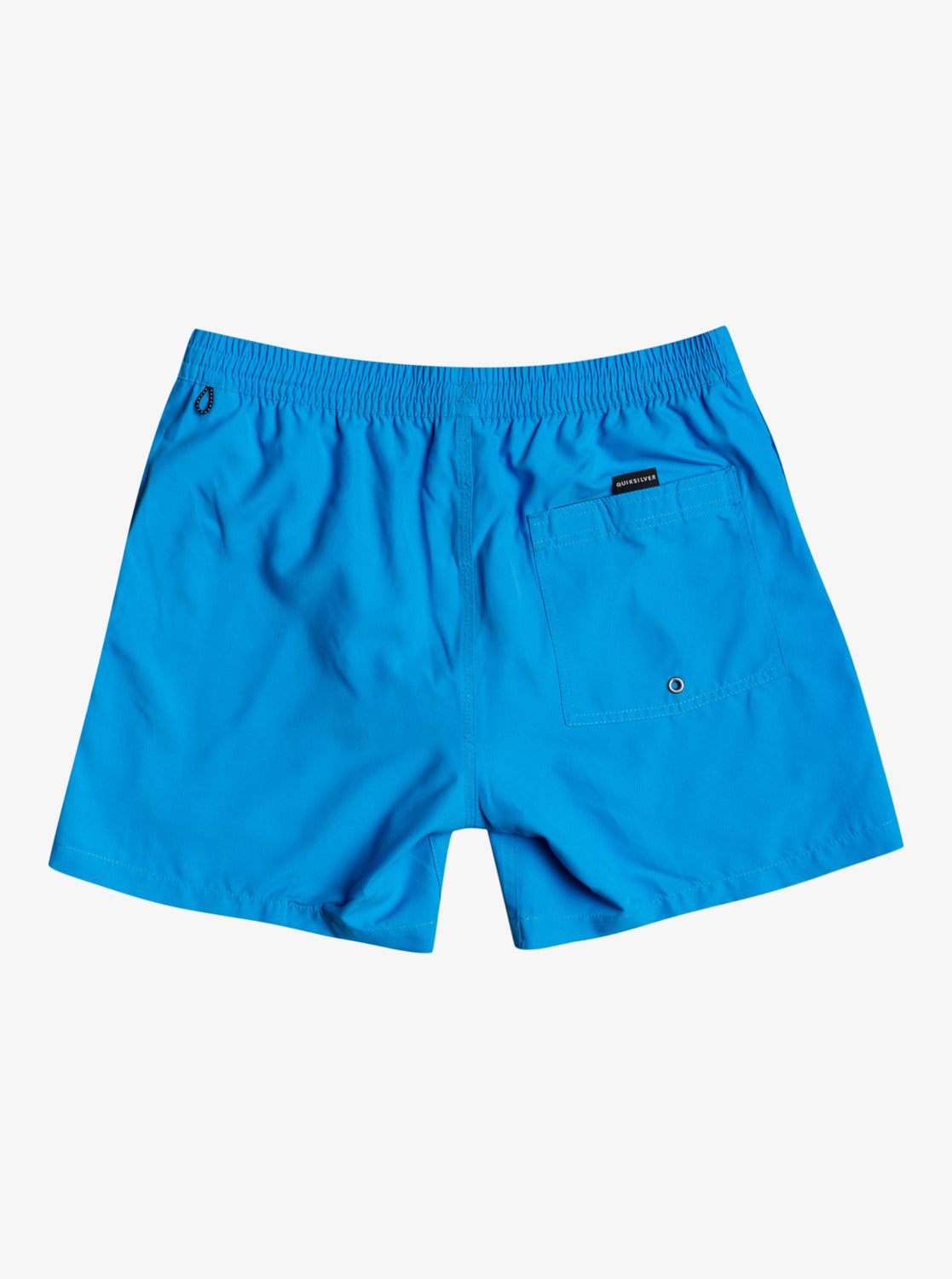 Quiksilver Everyday 13" Swim Shorts in Blithe