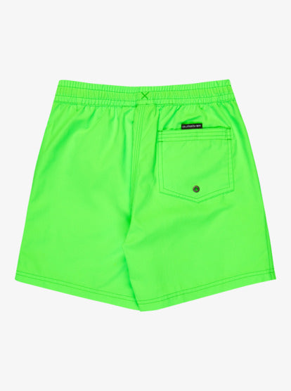 Quiksilver Everyday Volley 14" Boys Swim Shorts in Green Gecko