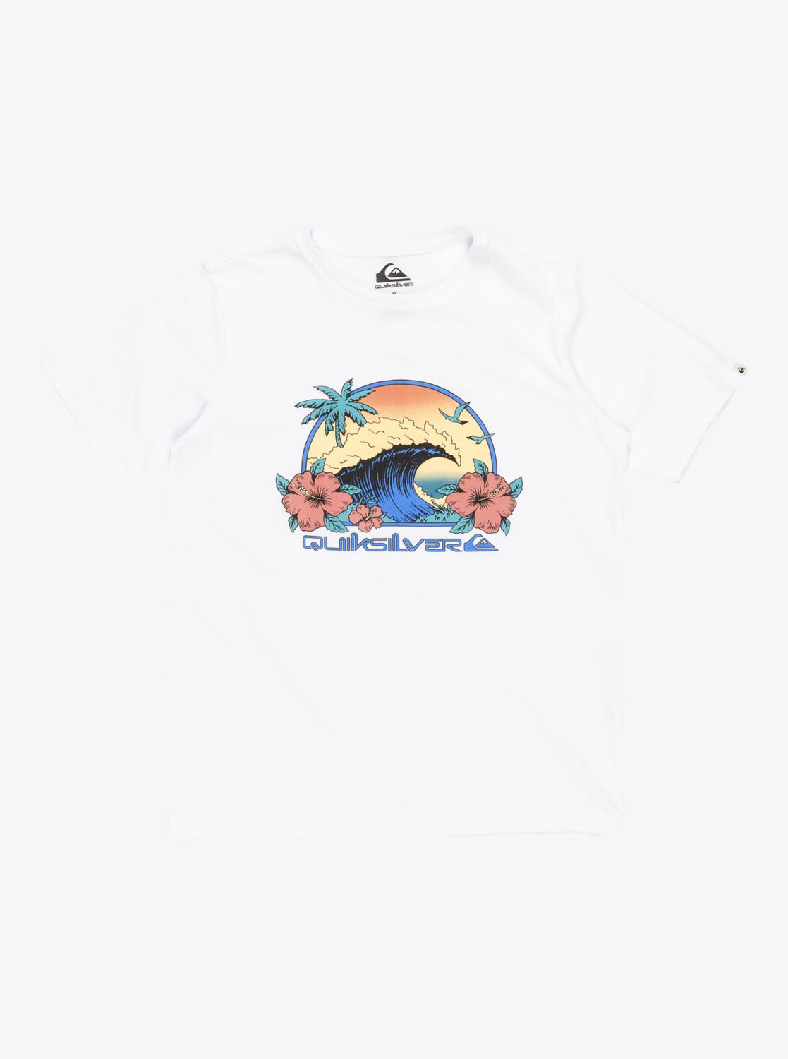 Quiksilver Riding Today Boys T-Shirt in White