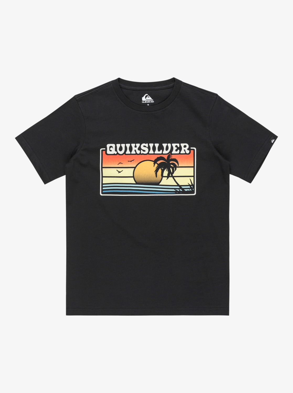 Quiksilver Sun Faded T-Shirt in Black