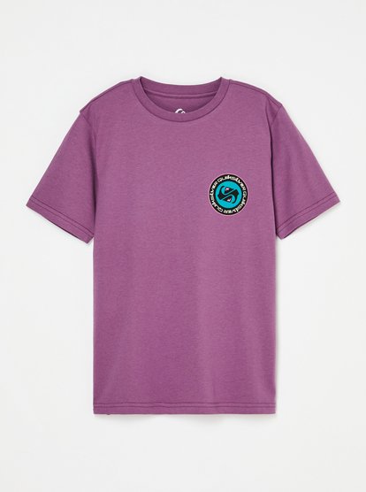 Quiksilver EV Duality Boys T-Shirt in Grape Jam