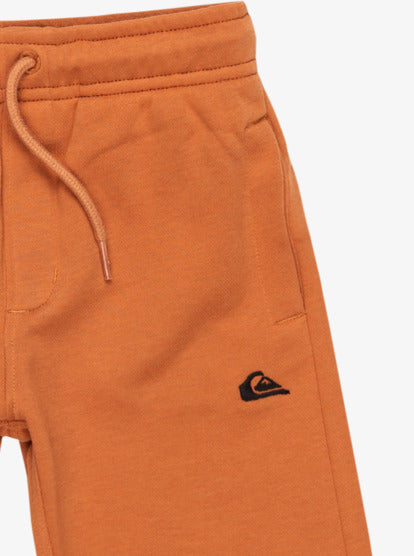 Quiksilver Easy Day Boys Elastic Waist Shorts in Bran