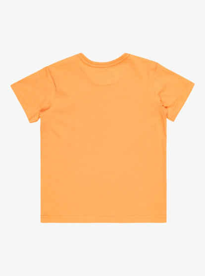 Quiksilver Day Tripper Boys T-shirt in Tangerine