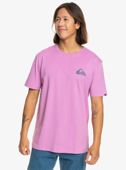 Quiksilver MV Mini T-Shirt in Violet