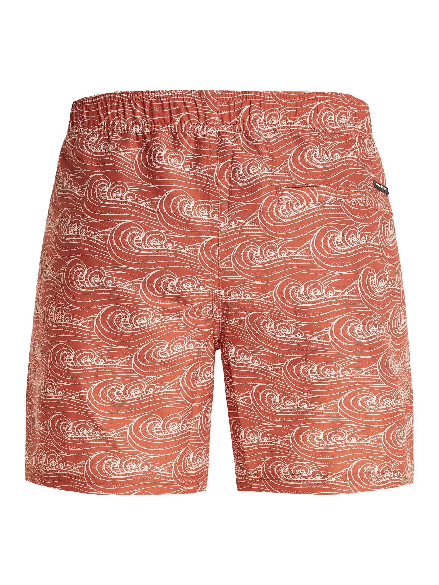 Protest Terton Swim Shorts in Clay