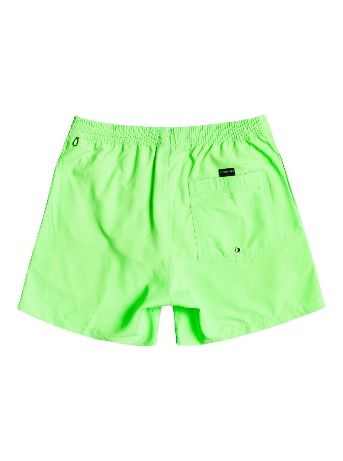 Quiksilver Everyday 13" Swim Shorts in Green