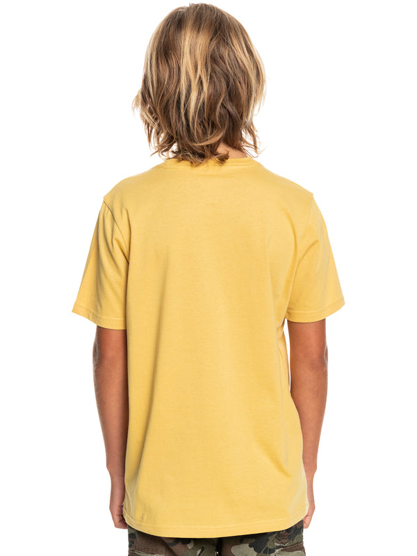 Quiksilver Feeding Line Boys Tee in Rattan