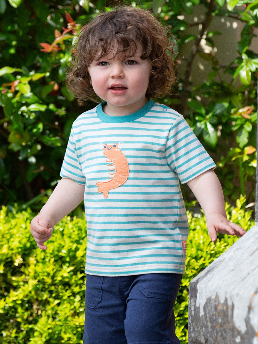 Kite Little Shrimp T-Shirt