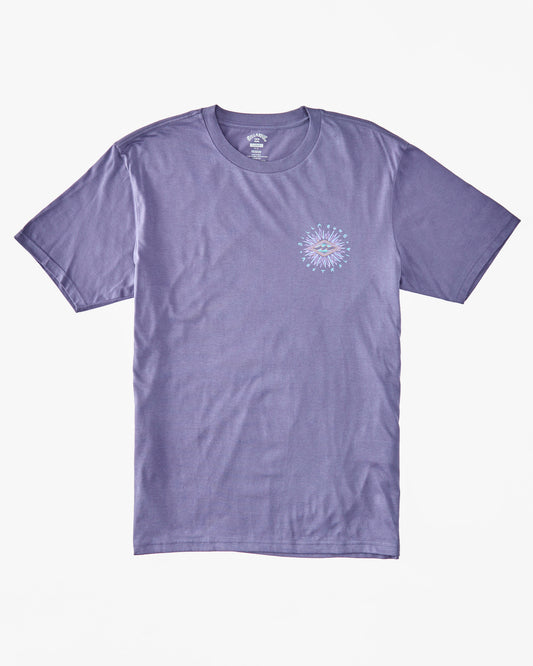 Billabong Praise T-Shirt in Dusty Grape