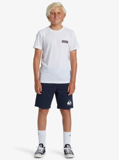 Quiksilver Easy Day Boys Sweat Shorts in Dark Navy