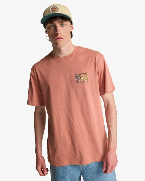 Billabong Crayon Wave T-Shirt in Dusty Rose