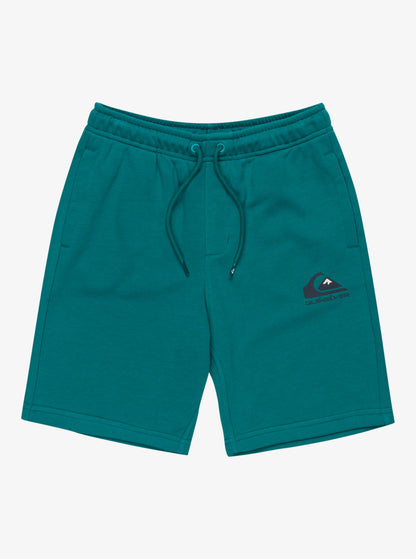 Quiksilver Easy Day Shorts in Teal Green
