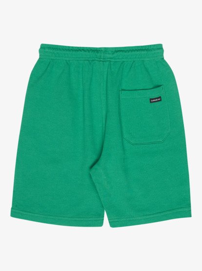 Quiksilver Easy Days Boys Elastic Waist Shorts in Leprechaun