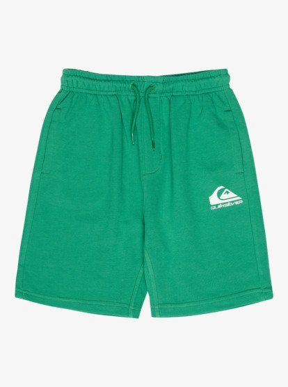 Quiksilver Easy Days Boys Elastic Waist Shorts in Leprechaun