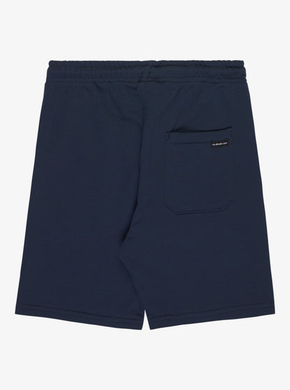Quiksilver Easy Day Shorts in Dark Navy