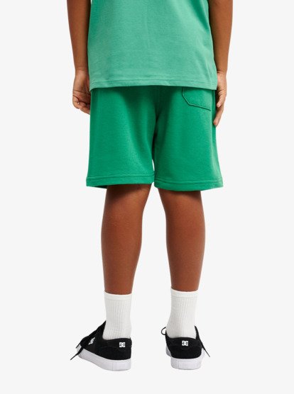 Quiksilver Easy Days Boys Elastic Waist Shorts in Leprechaun
