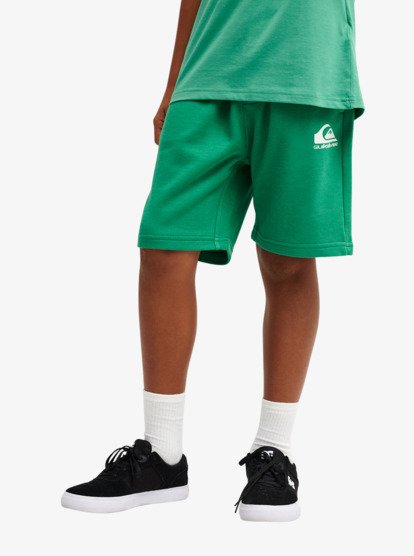 Quiksilver Easy Days Boys Elastic Waist Shorts in Leprechaun