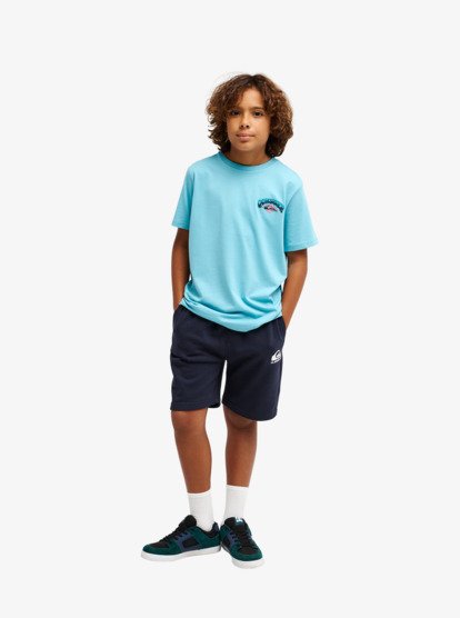 Quiksilver Easy Day Boys Sweat Shorts in Dark Navy