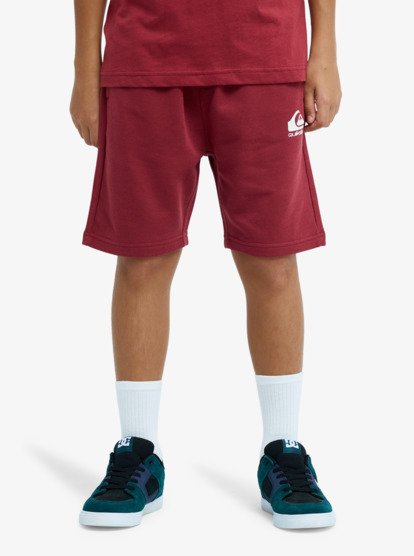 Quiksilver Easy Day Boys Sweat Shorts in Red