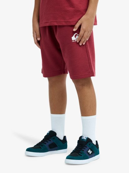 Quiksilver Easy Day Boys Sweat Shorts in Red