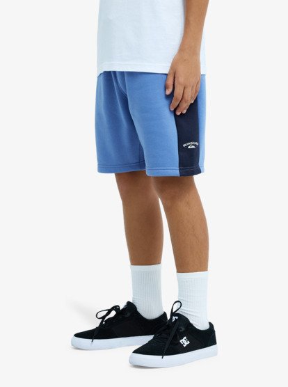 Quiksilver Knowledge Area Boys Sweat Shorts in Riviera