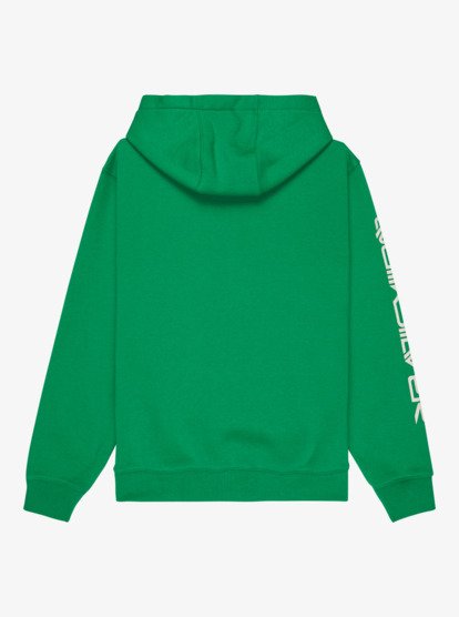 Quiksilver Omni Logo Boys Hoodie in Leprechaun