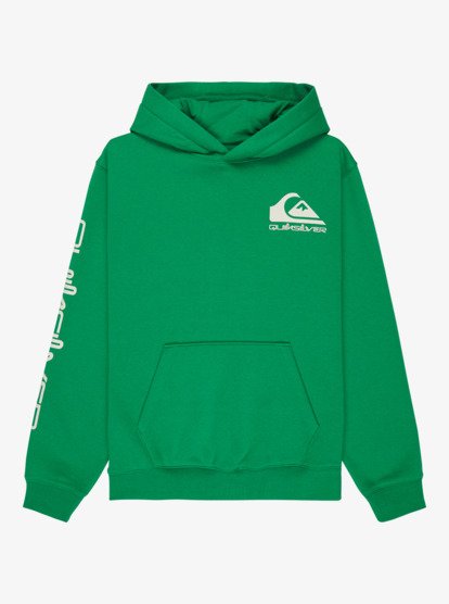 Quiksilver Omni Logo Boys Hoodie in Leprechaun