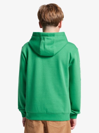Quiksilver Omni Logo Boys Hoodie in Leprechaun