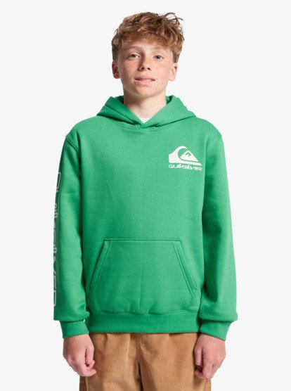 Quiksilver Omni Logo Boys Hoodie in Leprechaun