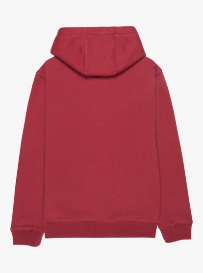 Quiksilver Fundamental Ride Boys Hoodie in Burnt Russet