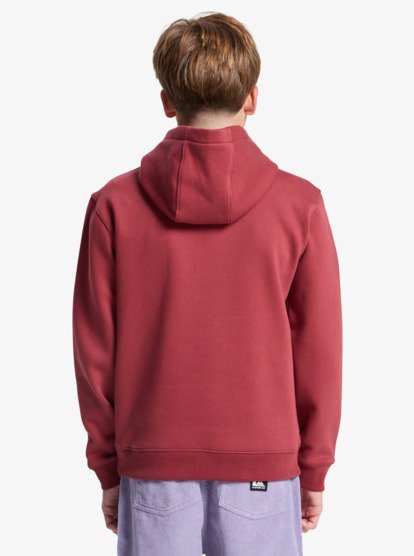 Quiksilver Fundamental Ride Boys Hoodie in Burnt Russet