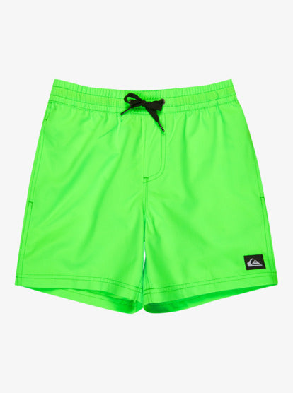 Quiksilver Everyday Volley 14" Boys Swim Shorts in Green Gecko
