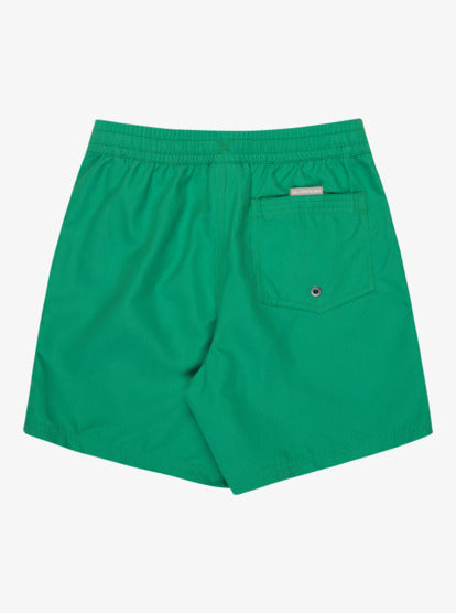 Quiksilver Everyday 14" Boys Swim Shorts in Leprechaun