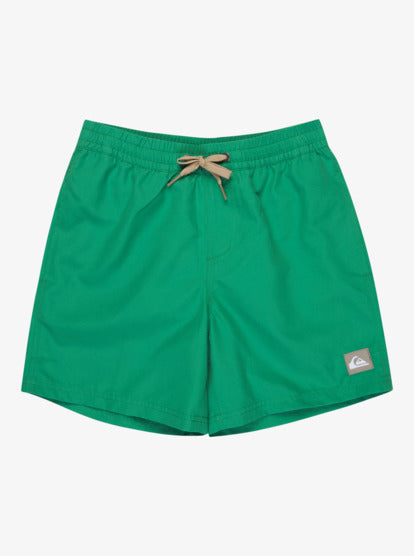 Quiksilver Everyday 14" Boys Swim Shorts in Leprechaun