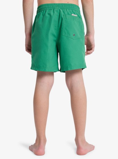 Quiksilver Everyday 14" Boys Swim Shorts in Leprechaun