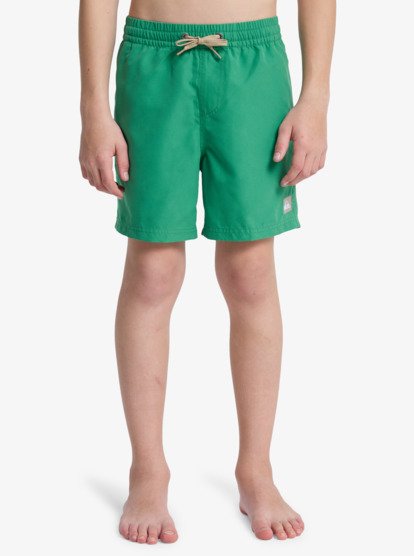 Quiksilver Everyday 14" Boys Swim Shorts in Leprechaun