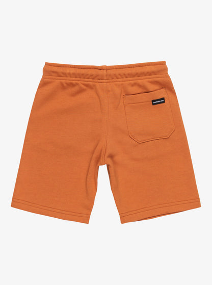 Quiksilver Easy Day Boys Elastic Waist Shorts in Bran