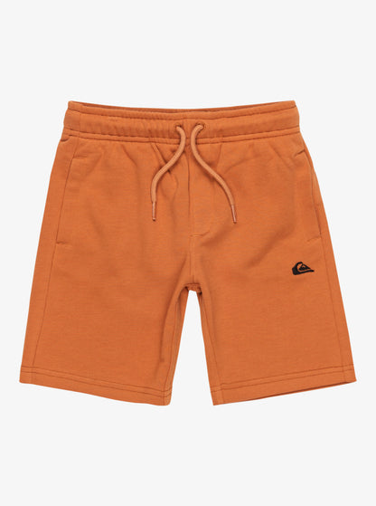 Quiksilver Easy Day Boys Elastic Waist Shorts in Bran