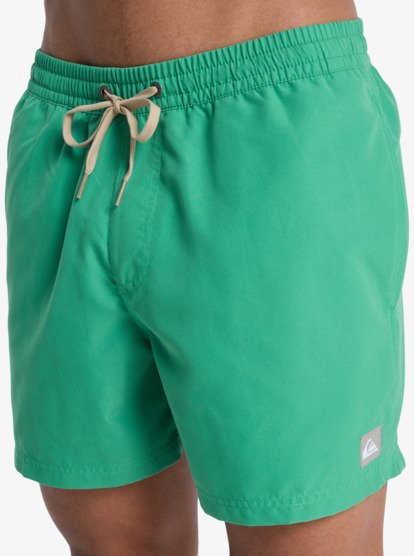 Quiksilver Everyday Solid Volley 15" Swim Shorts in Leprechaun