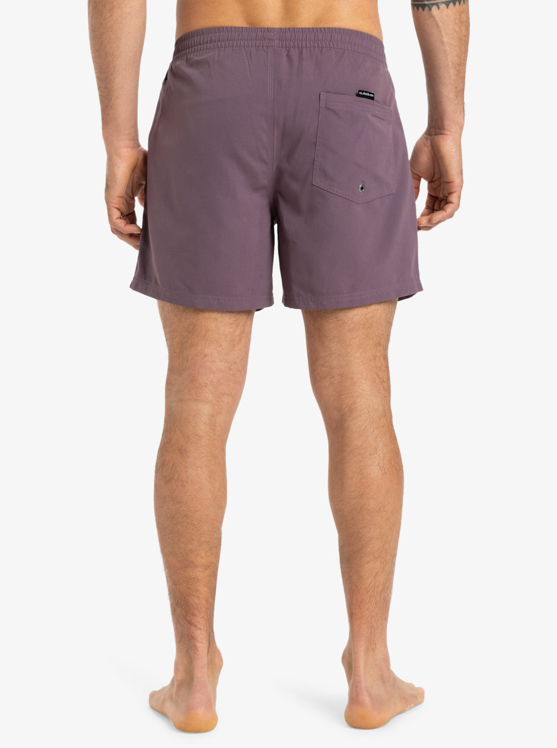 Quiksilver Everyday Solid Volley 15" Swim Shorts in Vintage Violet