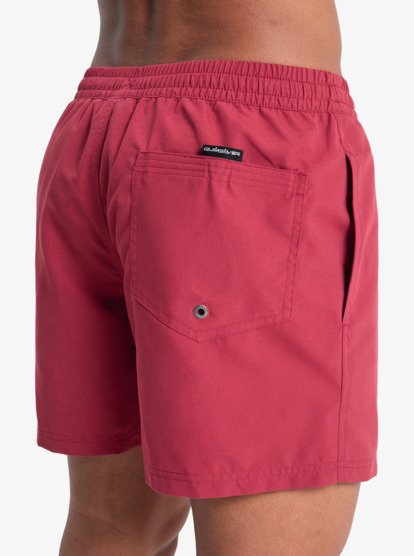 Quiksilver Everyday Solid Volley 15" Swim Shorts in Burnt Russet