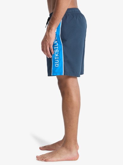 Quiksilver Everyday Clicker Volley 17" Swim Shorts in Dark Navy