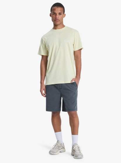 Quiksilver Taxer 19" Shorts in Black